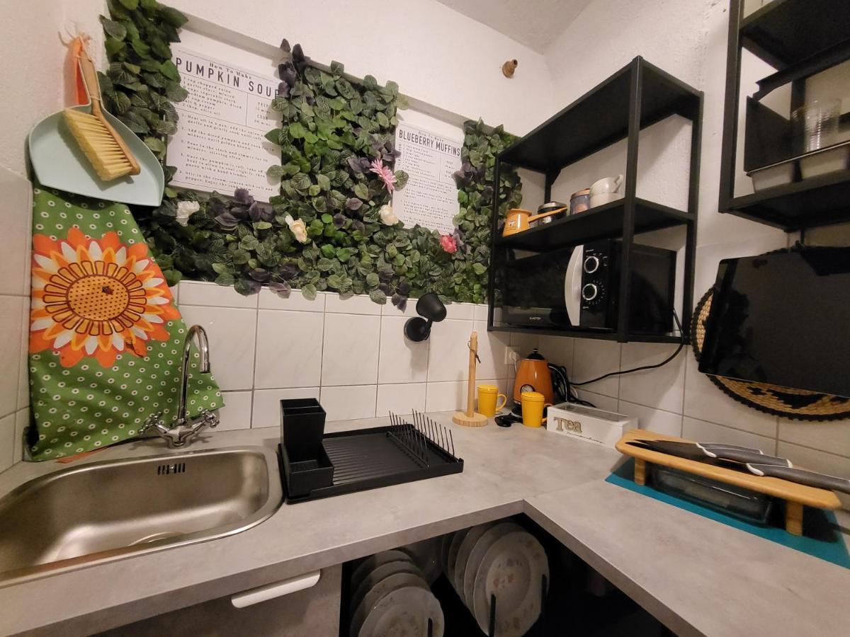Studio Prommontore Premantura Eksteriør billede